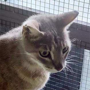 Wiley