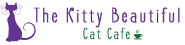 The Kitty Beautiful